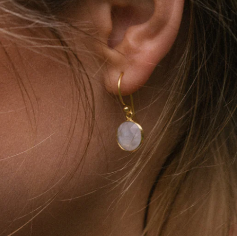 Gold Vermeil Hook Earrings with Rainbow Moonstone