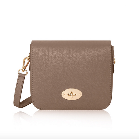 Taupe Leather Crossbody Lock Bag