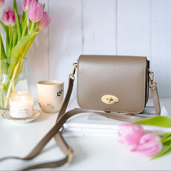 Taupe Leather Crossbody Lock Bag