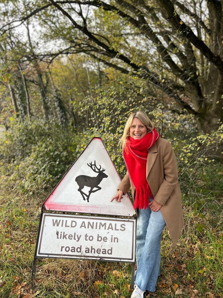 Person standing next to a 'Wild Animals Likely to be in Road Ahead' sign in a forest setting